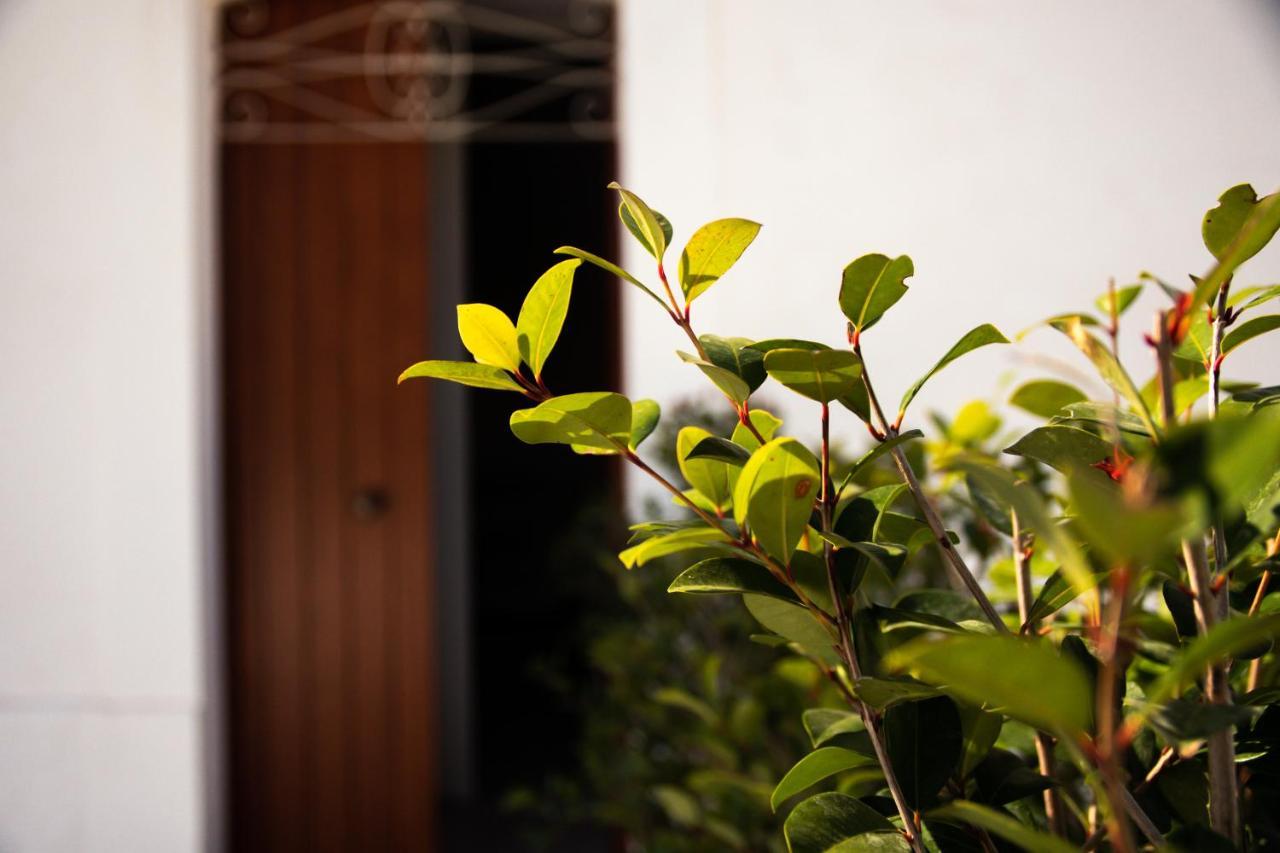 Trulli Donna Isabella Bed & Breakfast Locorotondo